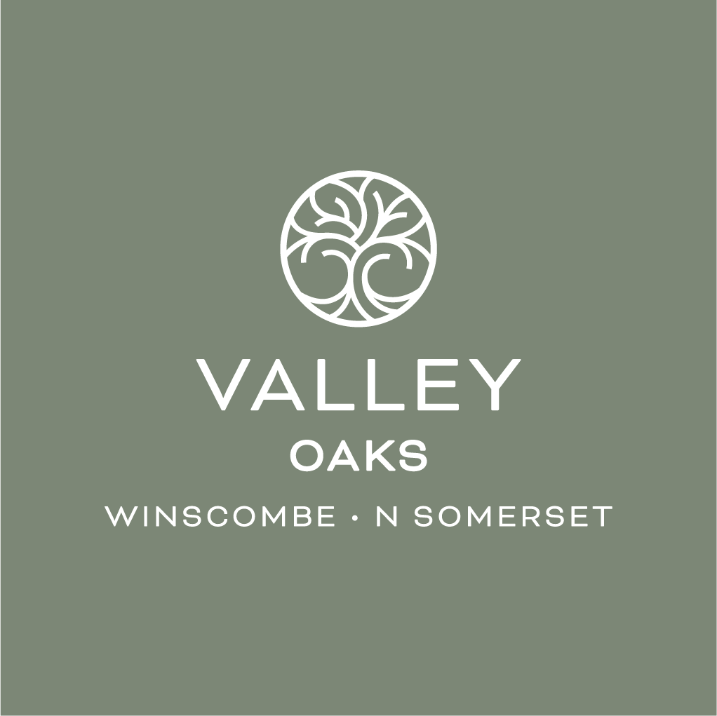 Valley Oaks Woodstock Homes