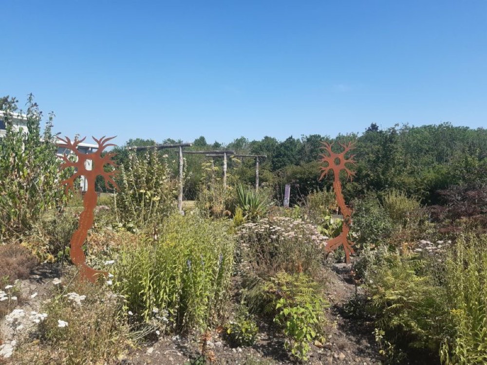 The MS Garden at RHS Badminton Flower Show, sponsored by Woodstock Homes